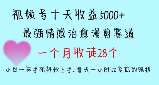 十天收益5000+，多平台捞金，视频号情感治愈漫剪，一个月收徒28个，小白一部手机轻松上手【揭秘】-天使资源网