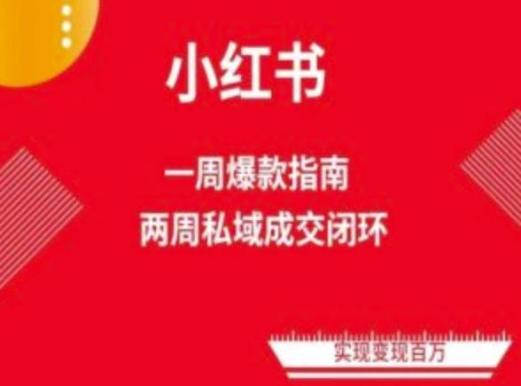 爆款小红书免费流量体系课程(两周变现)，小红书电商教程-天使资源网