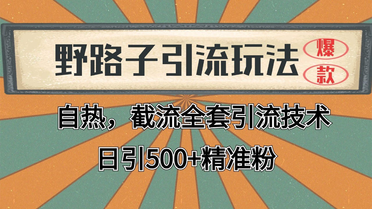 抖音小红书视频号全平台引流打法，全自动引流日引2000+精准客户-天使资源网