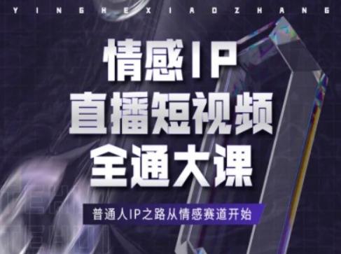 情感IP直播短视频全通大课，普通人IP之路从情感赛道开始-天使资源网