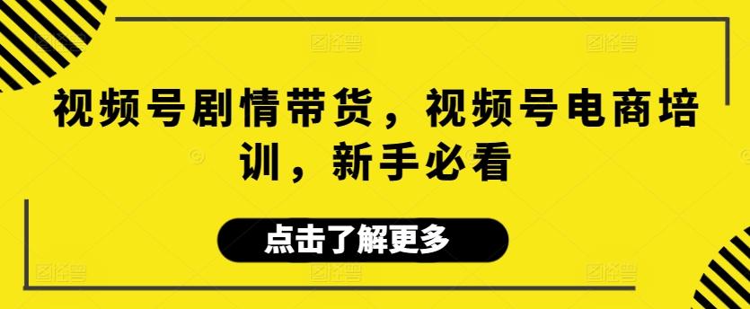 视频号剧情带货，视频号电商培训，新手必看-天使资源网