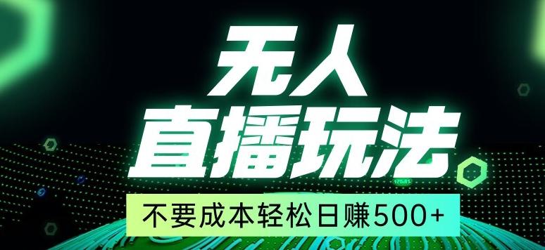 全网首发24年最新无人直播玩法，不需要成本，无需人力，一台电脑24小时为你工作-天使资源网