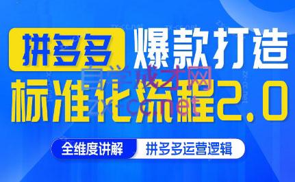 云杉老师·拼多多爆款打造标准化流程2.0-天使资源网