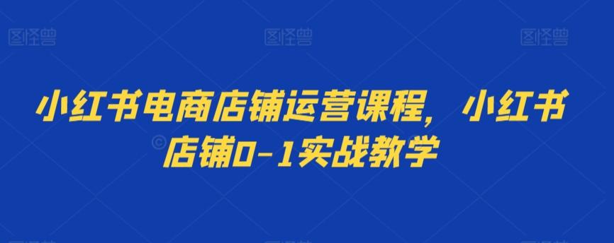 小红书电商店铺运营课程，小红书店铺0-1实战教学-天使资源网