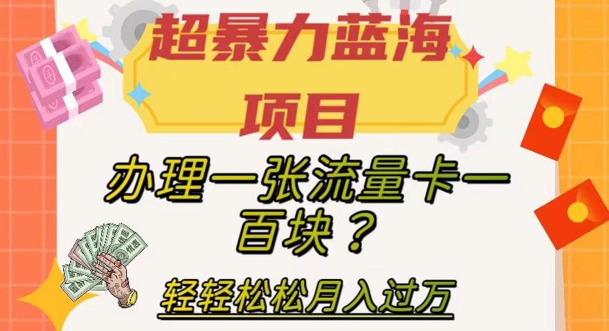 超暴力蓝海项目，办理一张流量卡一百块？轻轻松松月入过万，保姆级教程【揭秘】-天使资源网