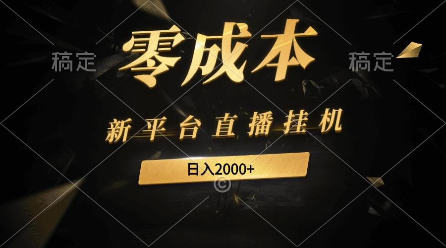 (9841期)新平台直播挂机最新玩法，0成本，不违规，日入2000+-天使资源网