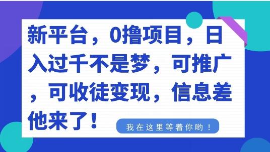 不要再花冤枉钱了，0撸项目，每天坚持，稳定1000+-天使资源网