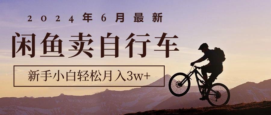 2024年6月最新闲鱼卖自行车，新手小白轻松月入3w+项目-天使资源网