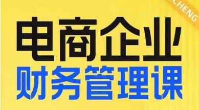 电商企业财务管理线上课，为电商企业规划财税-天使资源网