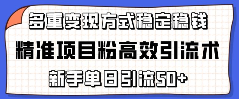 精准项目粉高效引流术，新手单日引流50+，多重变现方式稳定赚钱【揭秘】-天使资源网