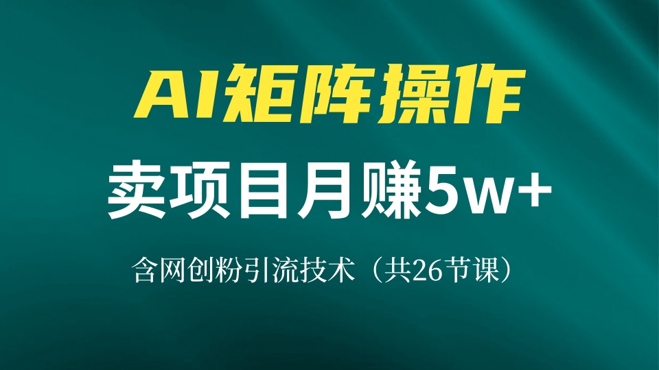 网创IP打造课，借助AI卖项目月赚5万+，含引流技术(共26节课-天使资源网