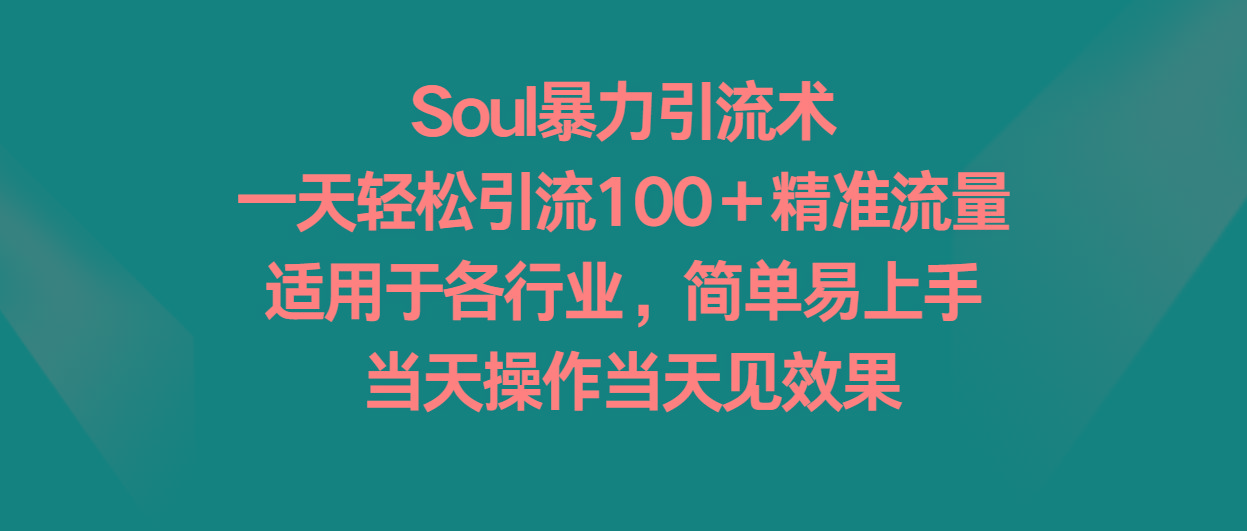 Soul暴力引流术，一天轻松引流100＋精准流量，适用于各行业，简单易上手！-天使资源网