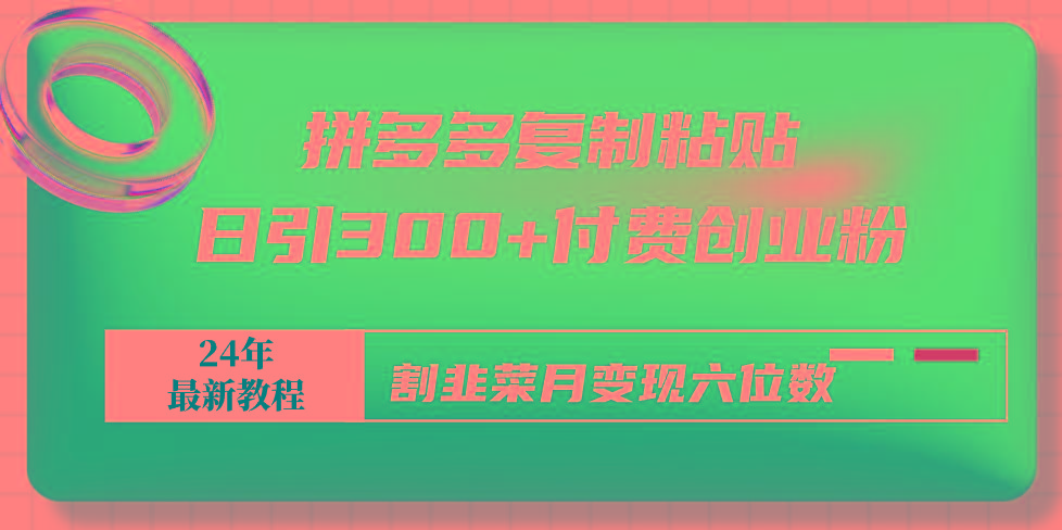 拼多多复制粘贴日引300+付费创业粉，割韭菜月变现六位数最新教程！-天使资源网