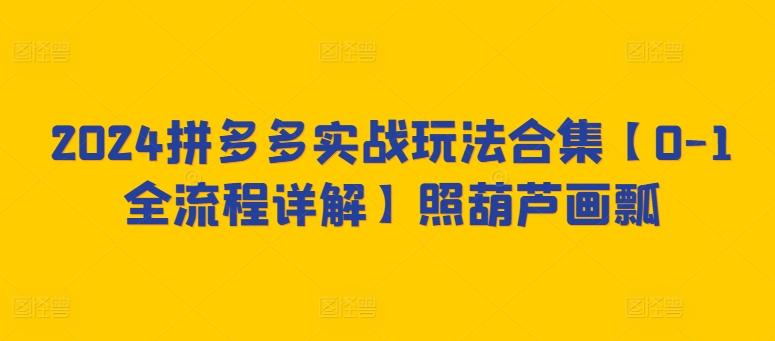 2024拼多多实战玩法合集【0-1全流程详解】照葫芦画瓢-天使资源网