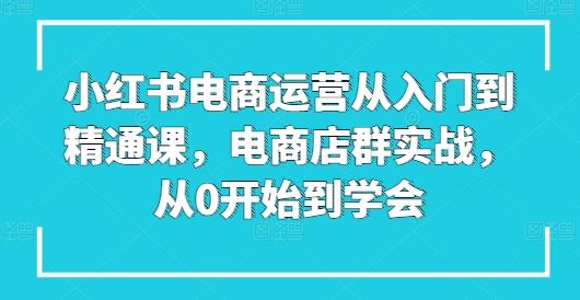 小红书电商运营从入门到精通课，电商店群实战，从0开始到学会-天使资源网
