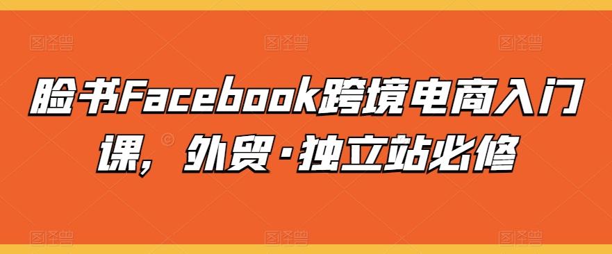 脸书Facebook跨境电商入门课，外贸·独立站必修-天使资源网