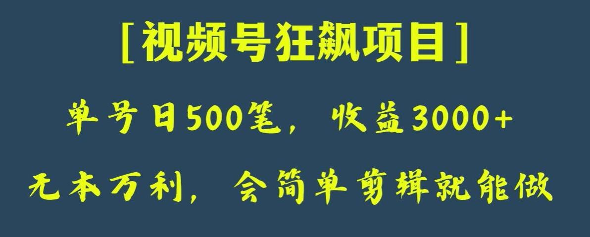 日收款500笔，纯利润3000+，视频号狂飙项目，会简单剪辑就能做【揭秘】-天使资源网