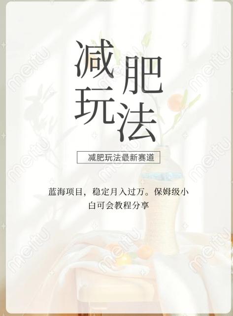 减肥流量主新玩法，轻松月入1W，可矩阵操作收入翻倍-天使资源网