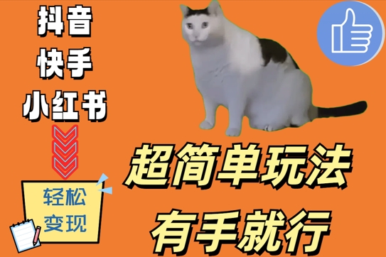 超简单玩法，有手就行，靠猫咪视频日入500+【揭秘】-天使资源网