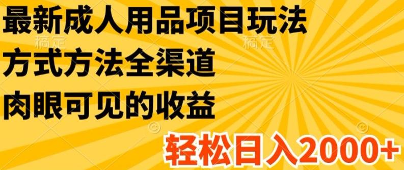 最新成人用品项目玩法，方式方法全渠道，轻松日入2K+【揭秘】-天使资源网