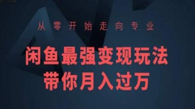 从零开始走向专业，闲鱼最强变现玩法带你月入过万-天使资源网