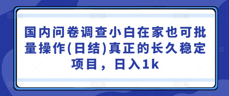 国内问卷调查小白在家也可批量操作(日结)真正的长久稳定项目，日入1k【揭秘】-天使资源网