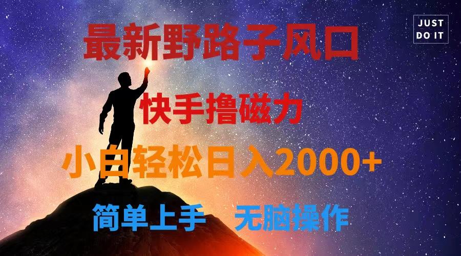 最新风口！快手撸磁力，野路子，小白无脑操作日入2000+-天使资源网
