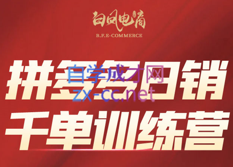 白凤电商学院·拼多多日销千单训练营(更新7月)-天使资源网