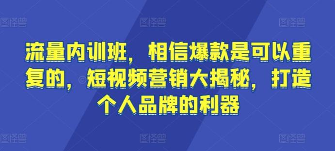 流量内训班，相信爆款是可以重复的，短视频营销大揭秘，打造个人品牌的利器-天使资源网