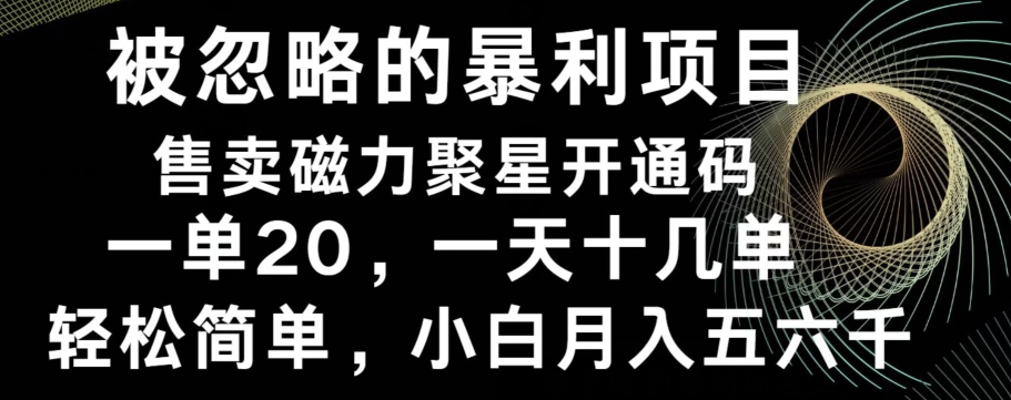 被忽略的暴利项目！售卖磁力聚星开通码，一单20，一天十几单，轻松月入五六千-天使资源网