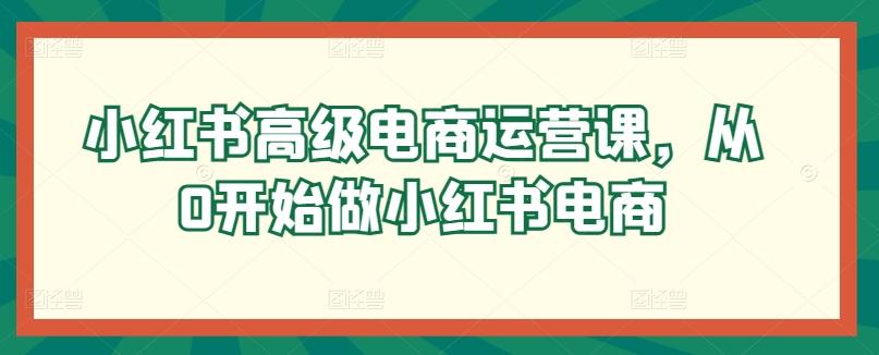 小红书高级电商运营课，从0开始做小红书电商-天使资源网