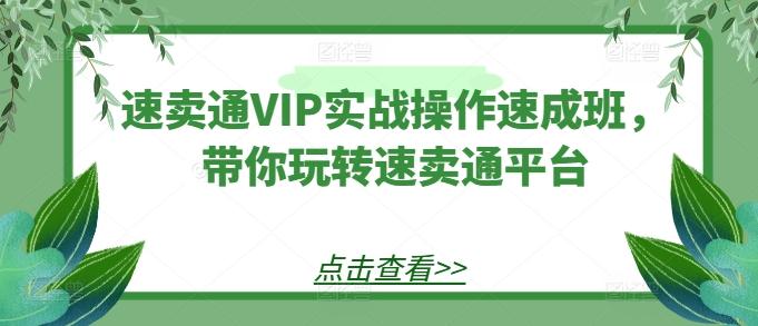 速卖通VIP实战操作速成班，带你玩转速卖通平台-天使资源网