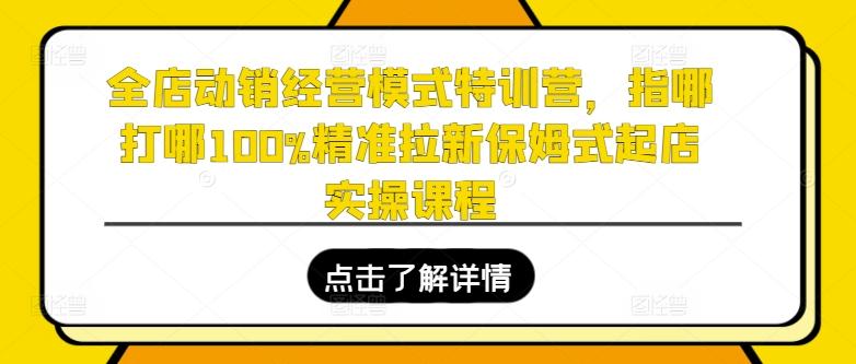 全店动销经营模式特训营，指哪打哪100%精准拉新保姆式起店实操课程-天使资源网
