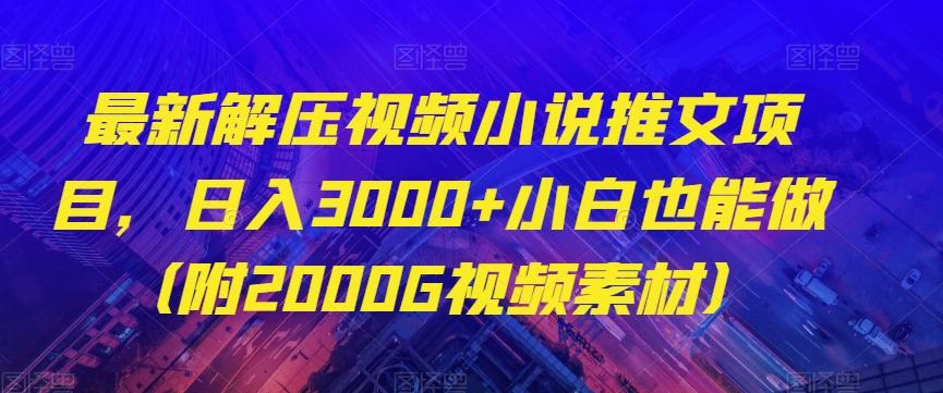 最新解压视频小说推文项目，日入3000+小白也能做（附2000G视频素材）【揭秘】-天使资源网
