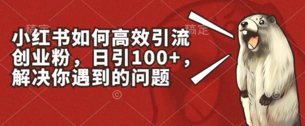小红书如何高效引流创业粉，日引100+，解决你遇到的问题【揭秘】-天使资源网