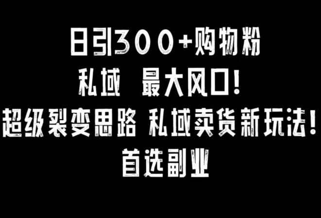 日引300+购物粉，超级裂变思路，私域卖货新玩法，小红书首选副业【揭秘】-天使资源网