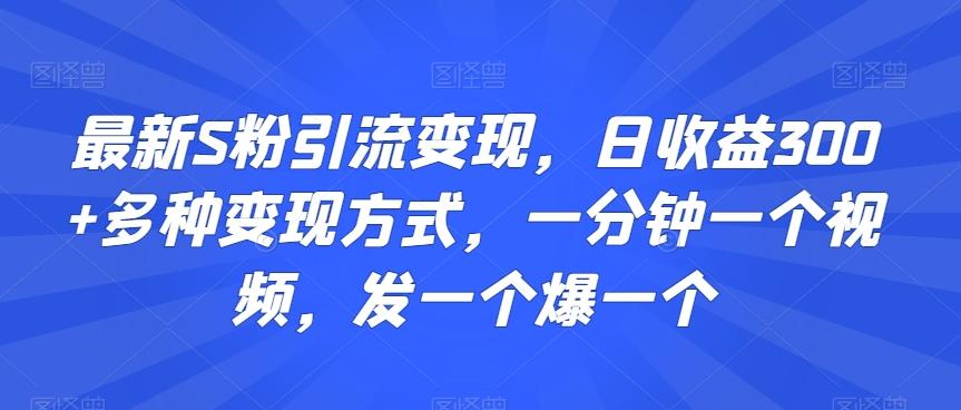 最新S粉引流变现，日收益300+多种变现方式，一分钟一个视频，发一个爆一个【揭秘】-天使资源网