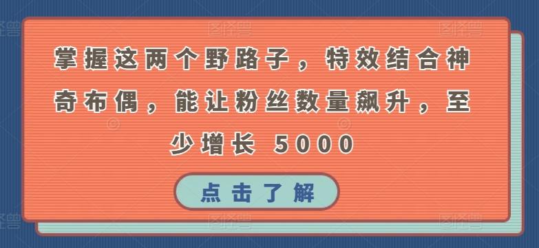掌握这两个野路子，特效结合神奇布偶，能让粉丝数量飙升，至少增长 5000【揭秘】-天使资源网