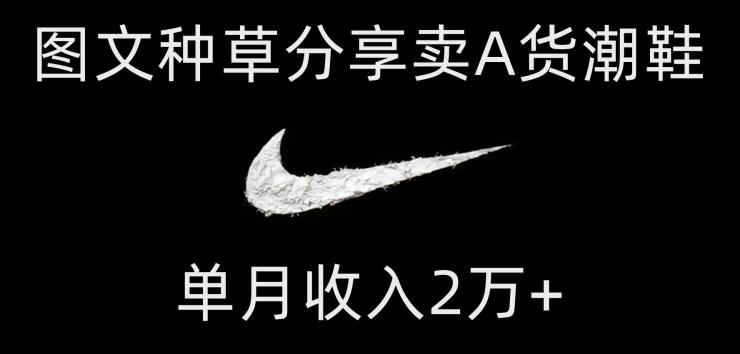 靠图文种草分享卖A货潮鞋，每天一小时，单月收入2万+【揭秘】-天使资源网