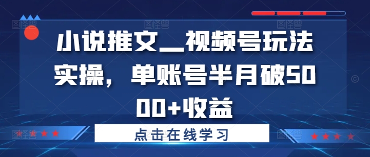 小说推文—视频号玩法实操，单账号半月破5000+收益-天使资源网