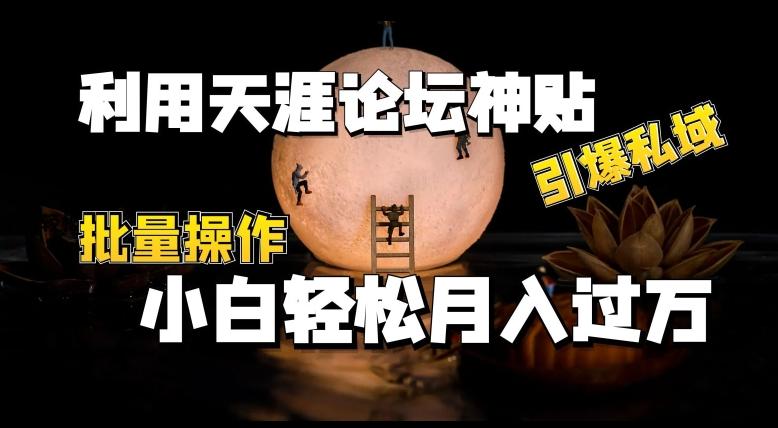 利用天涯论坛神贴，引爆私域，批量操作，小白轻松月入过w【揭秘】-天使资源网