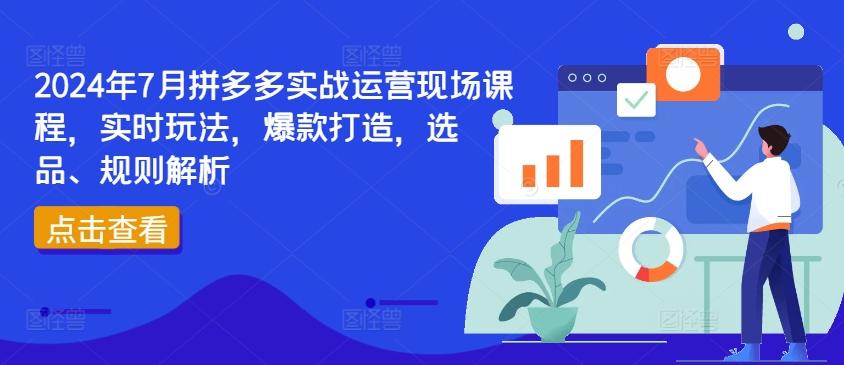 2024年7月拼多多实战运营现场课程，实时玩法，爆款打造，选品、规则解析-天使资源网
