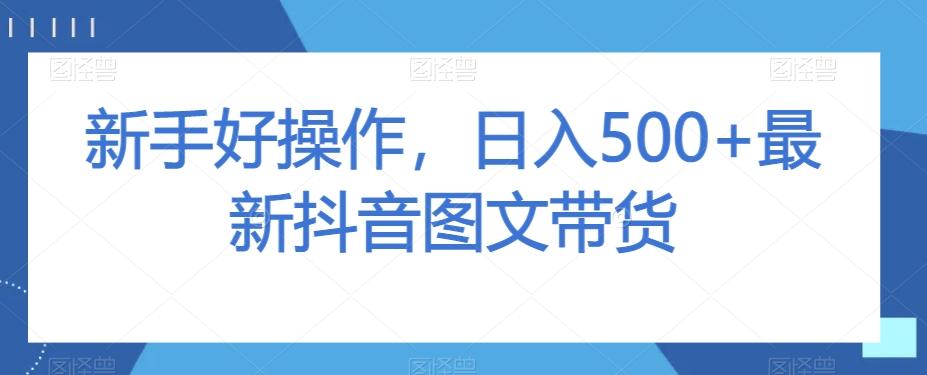 新手好操作，日入500+最新抖音图文带货【揭秘】-天使资源网