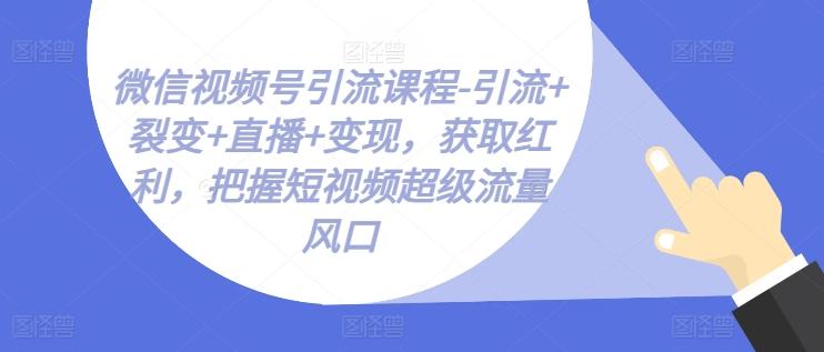 微信视频号引流课程-引流+裂变+直播+变现，获取红利，把握短视频超级流量风口-天使资源网