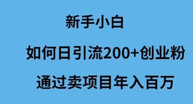 (9668期)新手小白如何日引流200+创业粉通过卖项目年入百万-天使资源网
