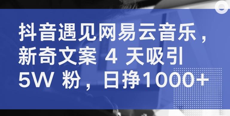 抖音遇见网易云音乐，新奇文案 4 天吸引 5W 粉，日挣1000+【揭秘】-天使资源网