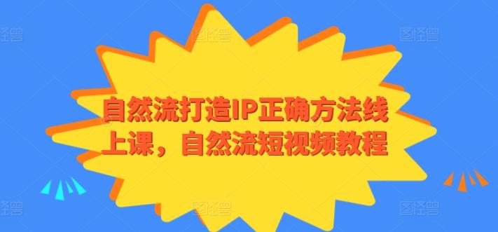 自然流打造IP正确方法线上课，自然流短视频教程-天使资源网