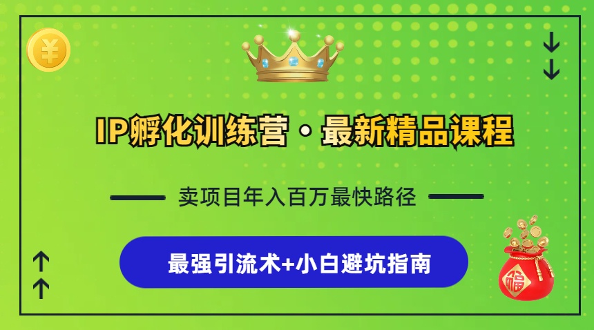 IP孵化训练营，知识付费全流程+最强引流术+小白避坑指南-天使资源网
