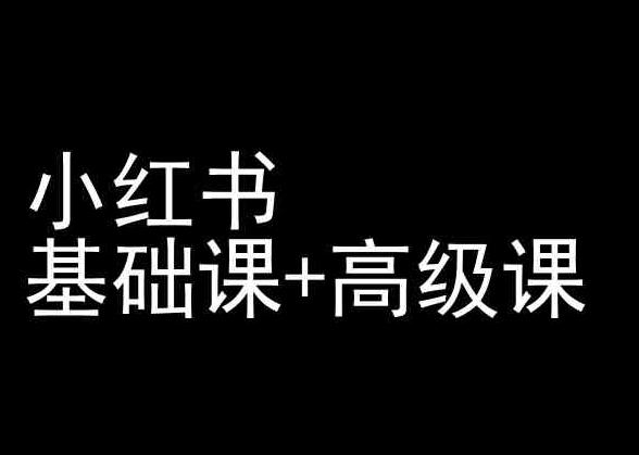 小红书基础课+高级课-小红书运营教程-天使资源网