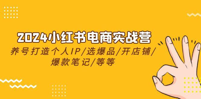 2024小红书电商实战营，养号打造IP/选爆品/开店铺/爆款笔记/等等(24节)-天使资源网